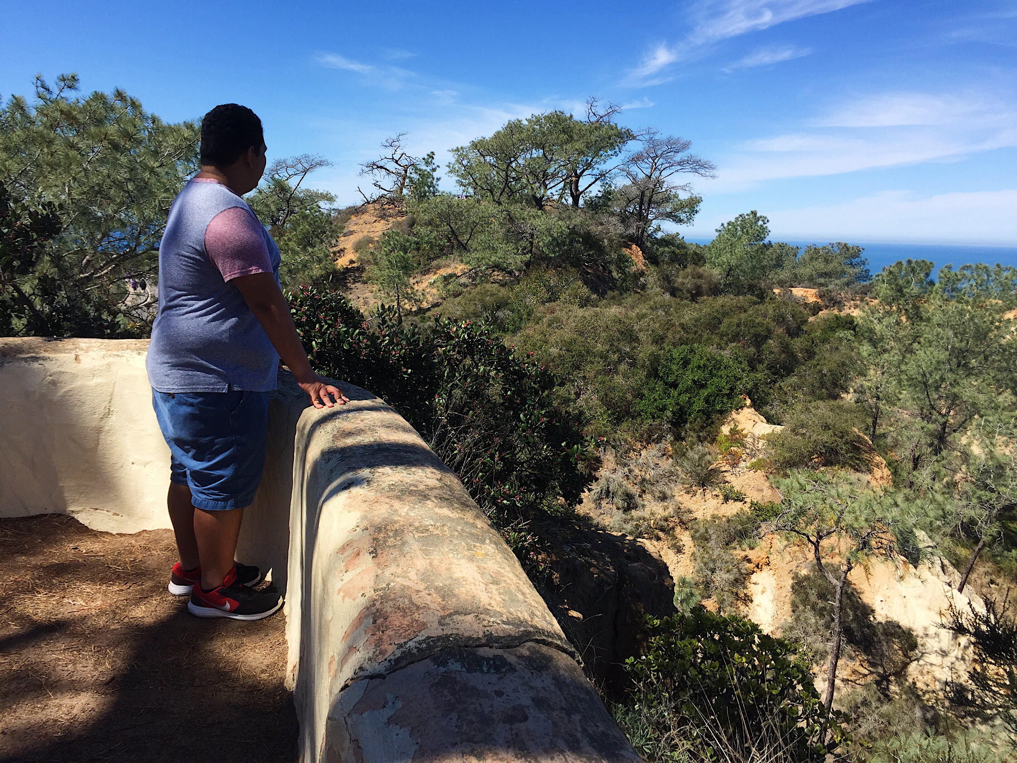 San Diego, Torrey Pines, Torrey Pines State Beach, Torrey Pines hiking trails, Torrey Pines State Reserve