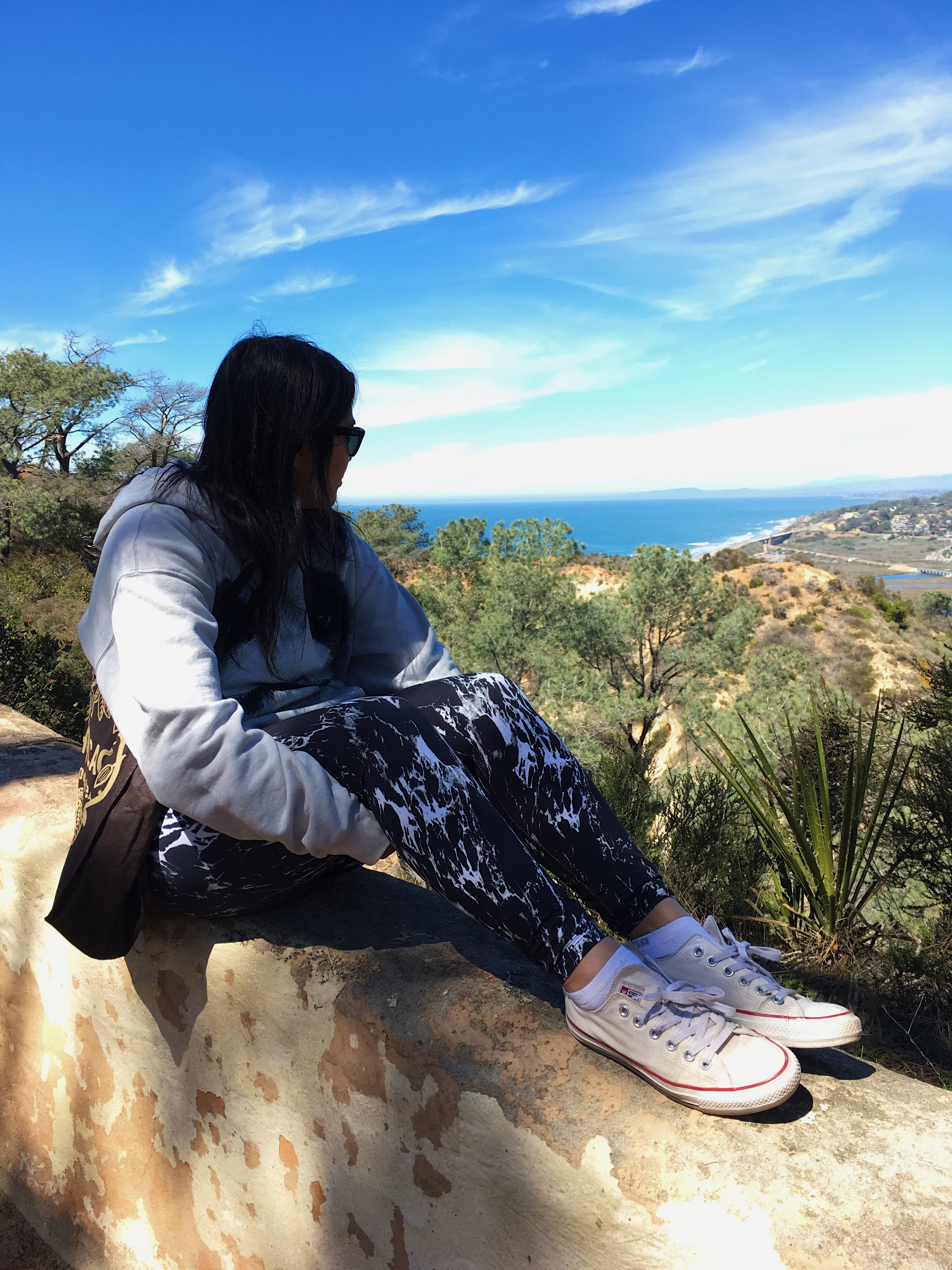 San Diego, Torrey Pines, Torrey Pines State Beach, Torrey Pines hiking trails, Torrey Pines State Reserve